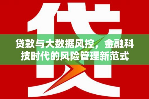 舞阳贷款与大数据风控，金融科技时代的风险管理新范式