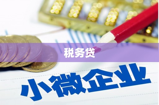 舞阳税务贷