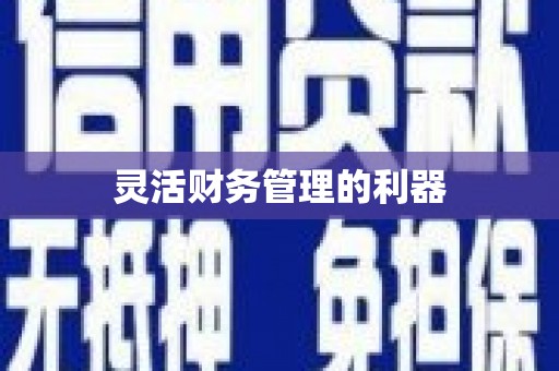 舞阳灵活财务管理的利器