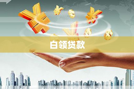 舞阳白领贷款
