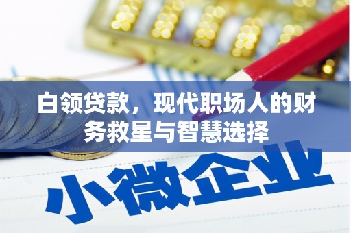 舞阳白领贷款，现代职场人的财务救星与智慧选择