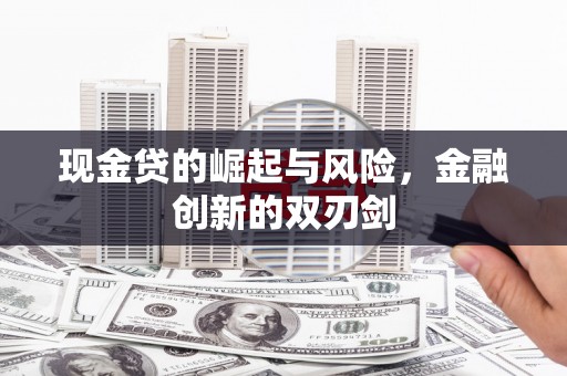 舞阳现金贷的崛起与风险，金融创新的双刃剑
