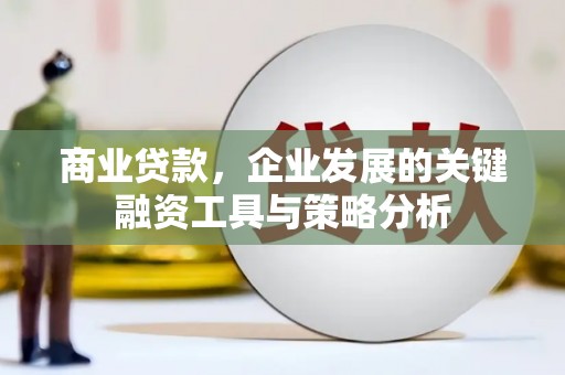 舞阳商业贷款，企业发展的关键融资工具与策略分析