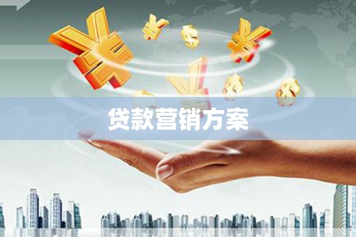 舞阳贷款营销方案