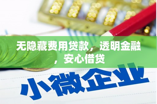 舞阳无隐藏费用贷款，透明金融，安心借贷