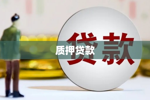 舞阳质押贷款