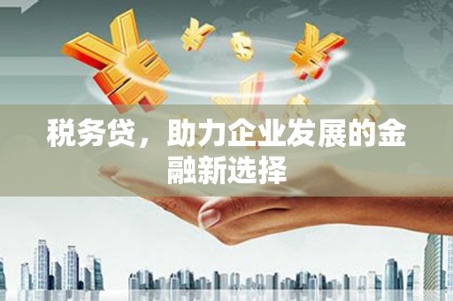 舞阳税务贷，助力企业发展的金融新选择