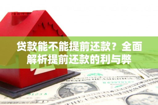 舞阳贷款能不能提前还款？全面解析提前还款的利与弊