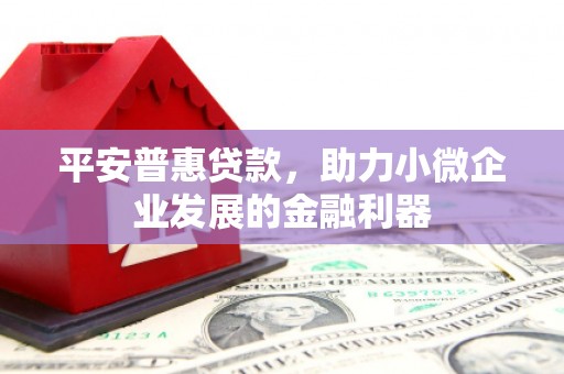 舞阳平安普惠贷款，助力小微企业发展的金融利器