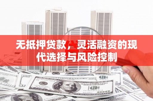 舞阳无抵押贷款，灵活融资的现代选择与风险控制