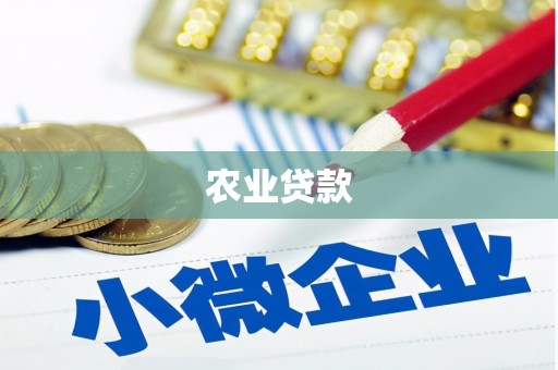 舞阳农业贷款