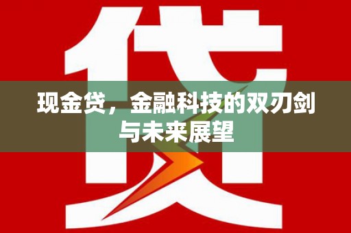 舞阳现金贷，金融科技的双刃剑与未来展望