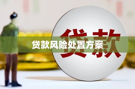 舞阳贷款风险处置方案