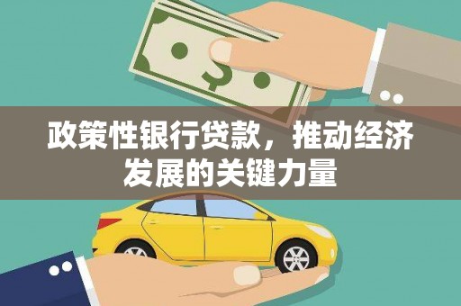 舞阳政策性银行贷款，推动经济发展的关键力量