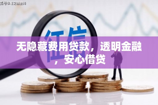 舞阳无隐藏费用贷款，透明金融，安心借贷