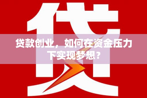 舞阳贷款创业，如何在资金压力下实现梦想？