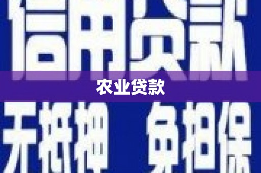 舞阳农业贷款