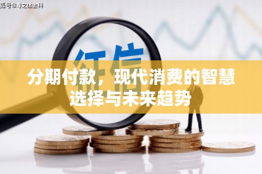 舞阳分期付款，现代消费的智慧选择与未来趋势