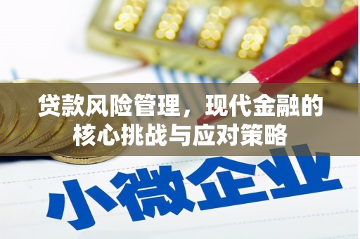 舞阳贷款风险管理，现代金融的核心挑战与应对策略