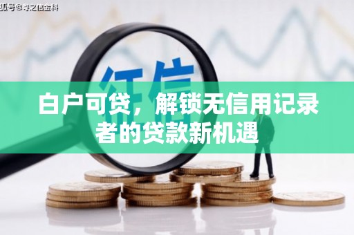舞阳白户可贷，解锁无信用记录者的贷款新机遇