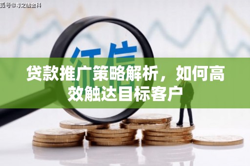 舞阳贷款推广策略解析，如何高效触达目标客户