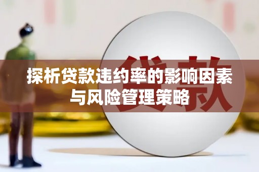 舞阳探析贷款违约率的影响因素与风险管理策略