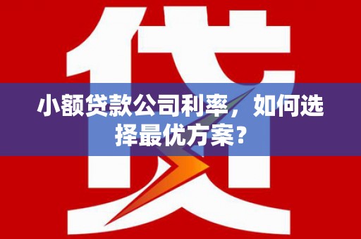 舞阳小额贷款公司利率，如何选择最优方案？