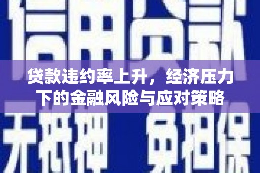 舞阳贷款违约率上升，经济压力下的金融风险与应对策略