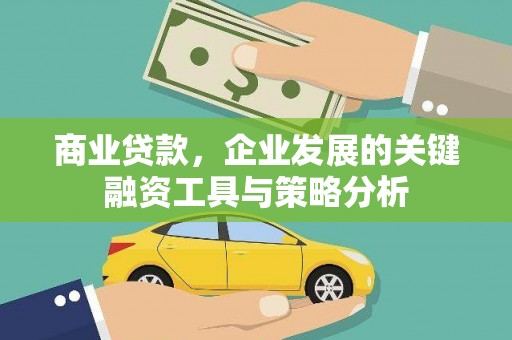 舞阳商业贷款，企业发展的关键融资工具与策略分析