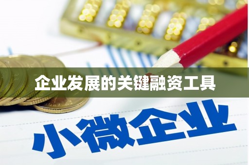 舞阳企业发展的关键融资工具