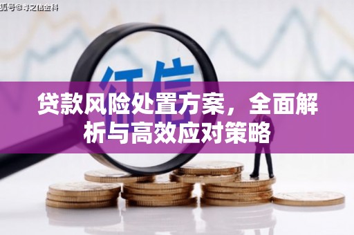 舞阳贷款风险处置方案，全面解析与高效应对策略