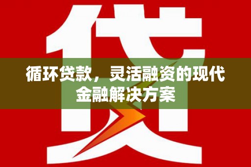 舞阳循环贷款，灵活融资的现代金融解决方案