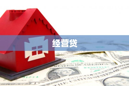 舞阳经营贷