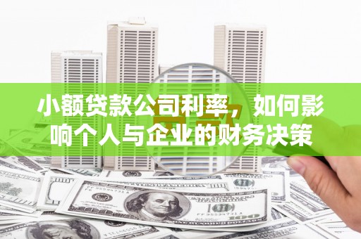 舞阳小额贷款公司利率，如何影响个人与企业的财务决策