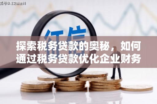 舞阳探索税务贷款的奥秘，如何通过税务贷款优化企业财务