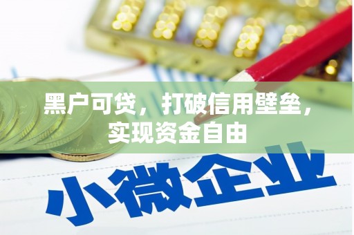 舞阳黑户可贷，打破信用壁垒，实现资金自由