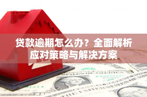 舞阳贷款逾期怎么办？全面解析应对策略与解决方案