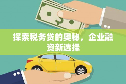 舞阳探索税务贷的奥秘，企业融资新选择