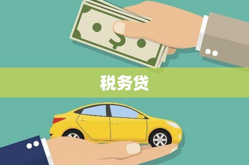 舞阳税务贷