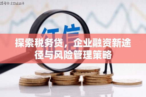 舞阳探索税务贷，企业融资新途径与风险管理策略