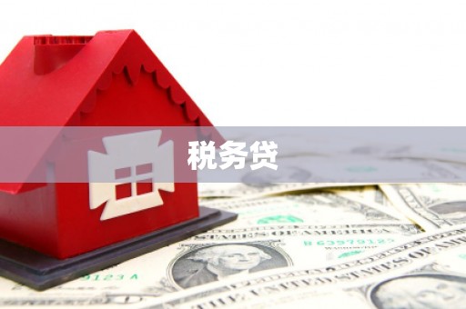 舞阳税务贷
