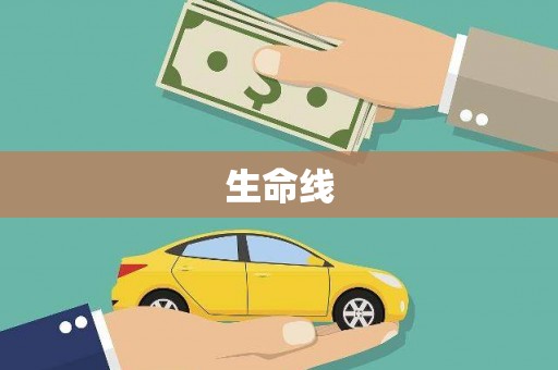 舞阳生命线