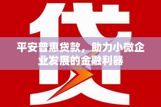 舞阳平安普惠贷款，助力小微企业发展的金融利器