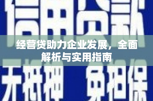 舞阳经营贷助力企业发展，全面解析与实用指南