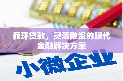 舞阳循环贷款，灵活融资的现代金融解决方案