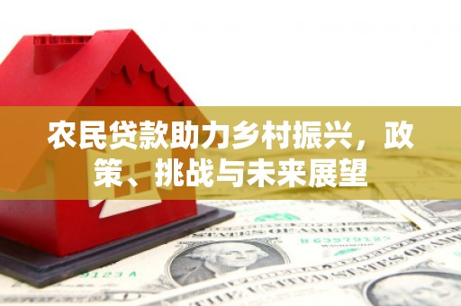 舞阳农民贷款助力乡村振兴，政策、挑战与未来展望