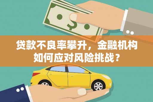 舞阳贷款不良率攀升，金融机构如何应对风险挑战？