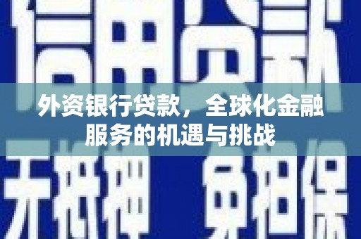 舞阳外资银行贷款，全球化金融服务的机遇与挑战