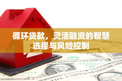 舞阳循环贷款，灵活融资的智慧选择与风险控制
