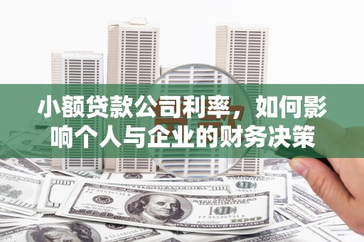 舞阳小额贷款公司利率，如何影响个人与企业的财务决策